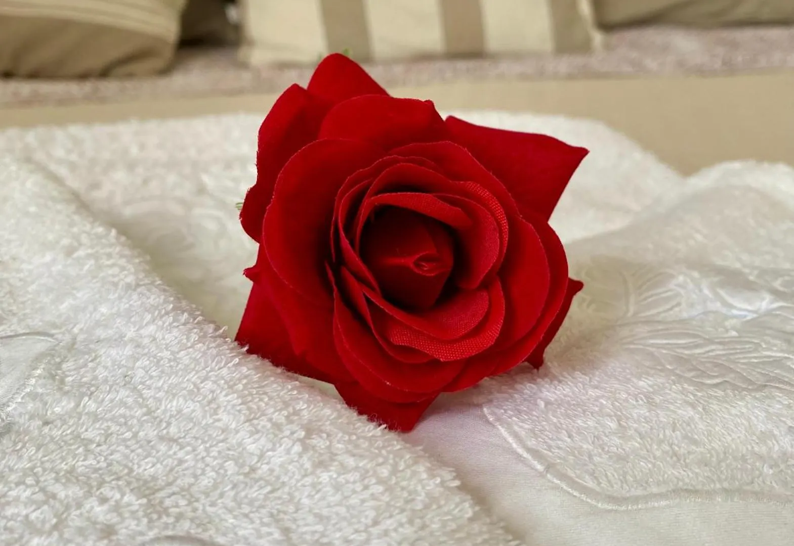 Σπίτι διακοπών Rosa Charme Casa Vacanze Όπως